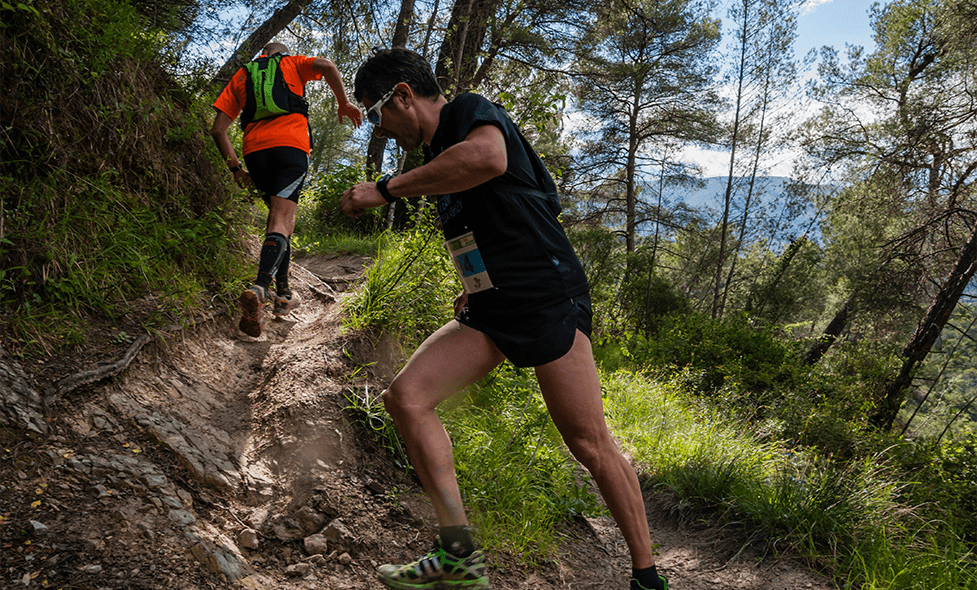 Trail des limaces - Agrandir l'image, fenêtre modale