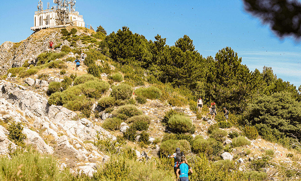 Verticale haut Vial - Agrandir l'image, fenêtre modale